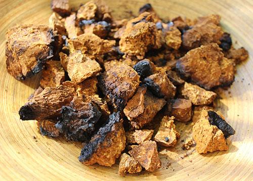 chaga-tea-dried-mushroom.jpg
